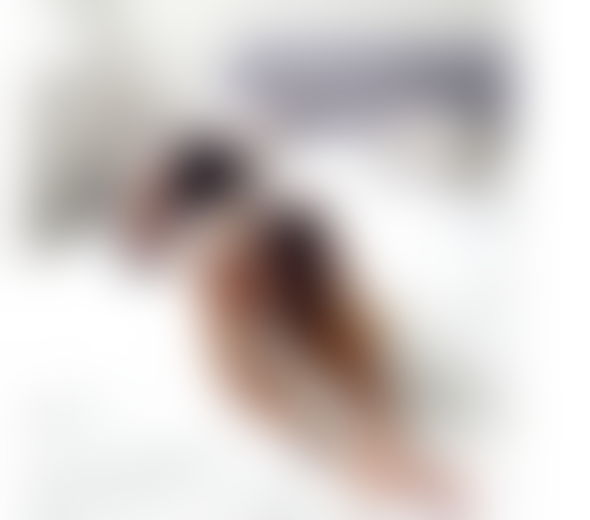 Trans Escorts West Yorkshire Wakefield - Photos for NATASHA TS NEW IN TOWN ONLY OUTCALLS PARTY
